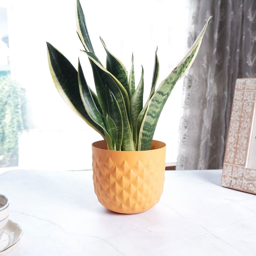 Pineapple Planter Yellow 5.3"